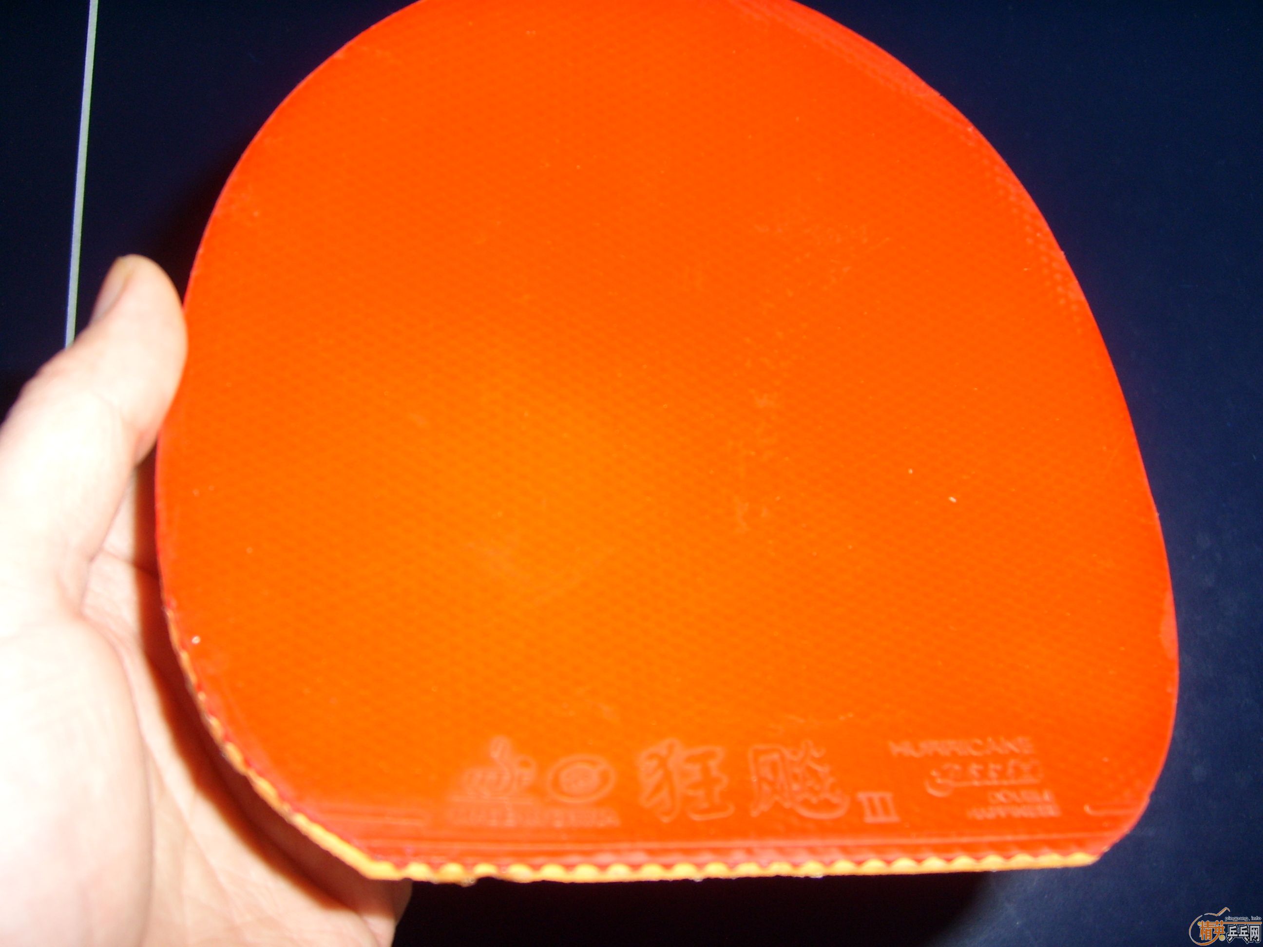 ���µ��Ϻ���VIS���������������������ͼ��֧������