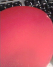 [ע��]������EL.����˽���JO