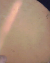 [ע��]������EL.����˽���JO