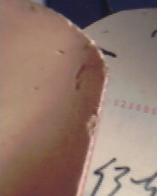 [ע��]������EL.����˽���JO