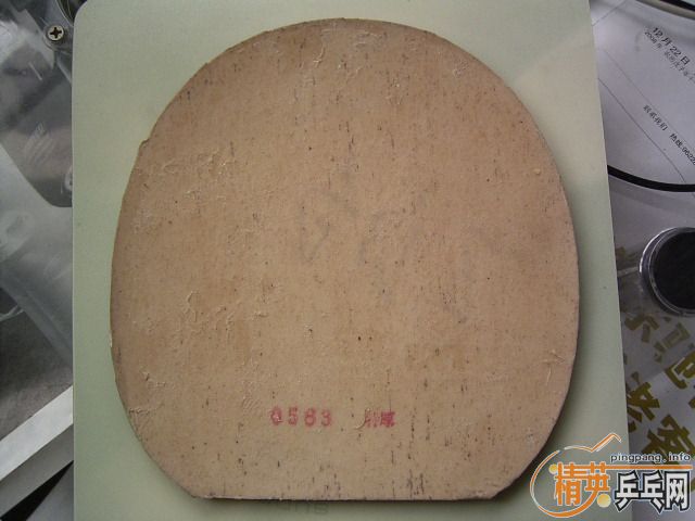 ��һ���Լ��õ�8���������Ź������׽���80Ԫ���ʡ�