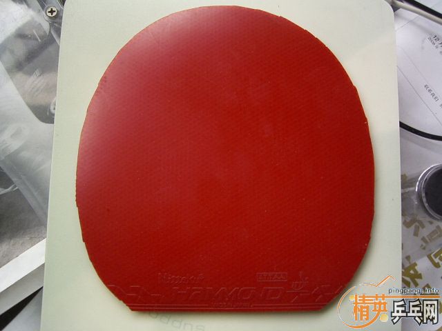 ��һ���Լ��õ�8���������Ź������׽���80Ԫ���ʡ�