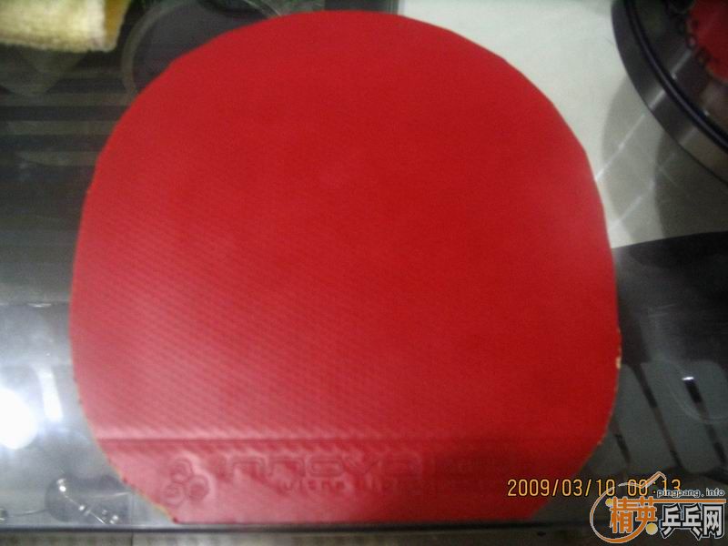 [֧����]������STIGA����һŵ��������