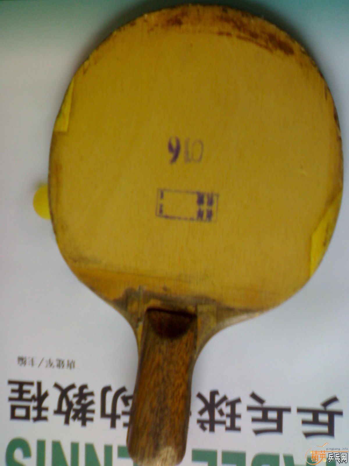 ��˫ϲ016��һ��ֱ����