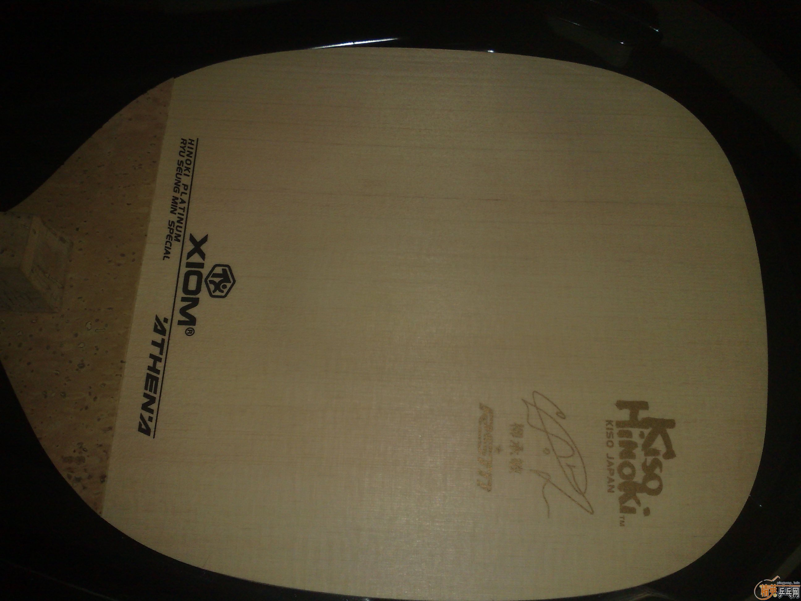 �ŷ�С�����½�����׽�