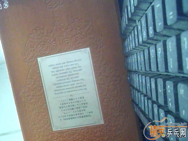 ��С���ٺ�YEO