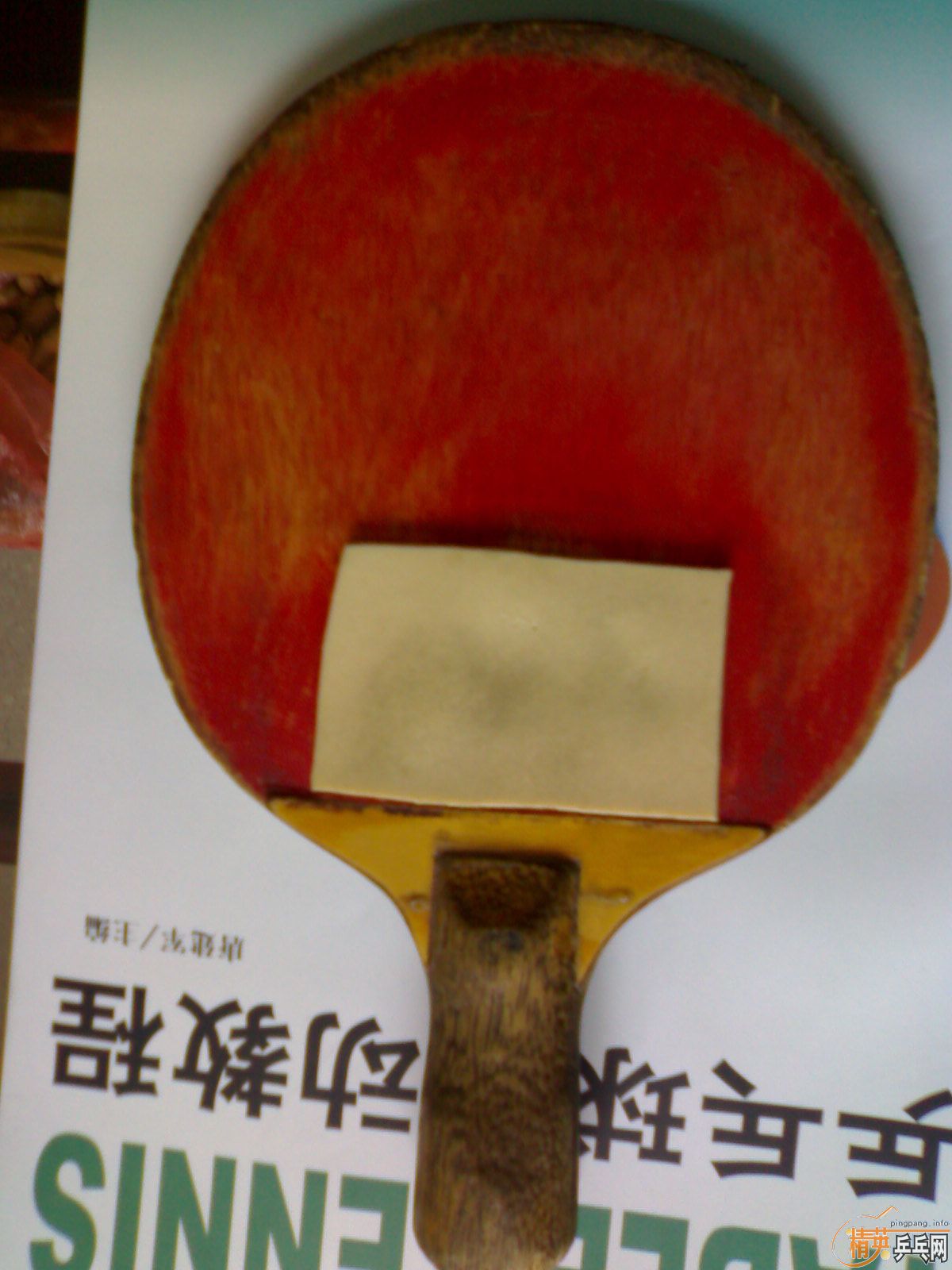 ��˫ϲ016��һ��ֱ����