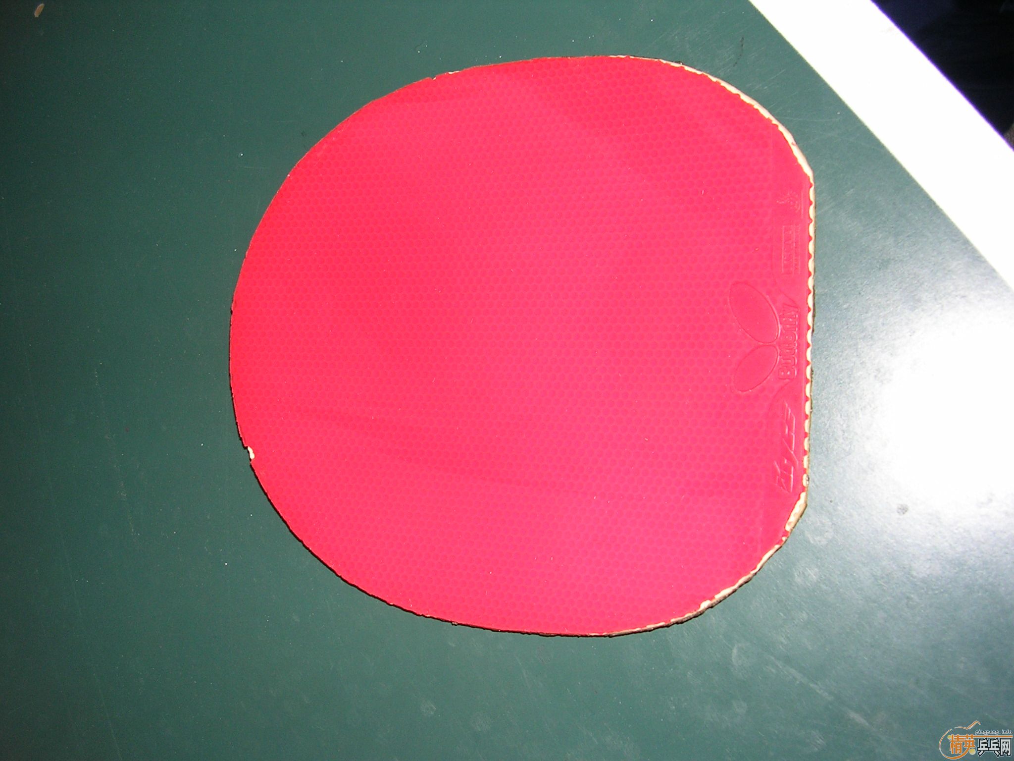 [��]���SPEED!