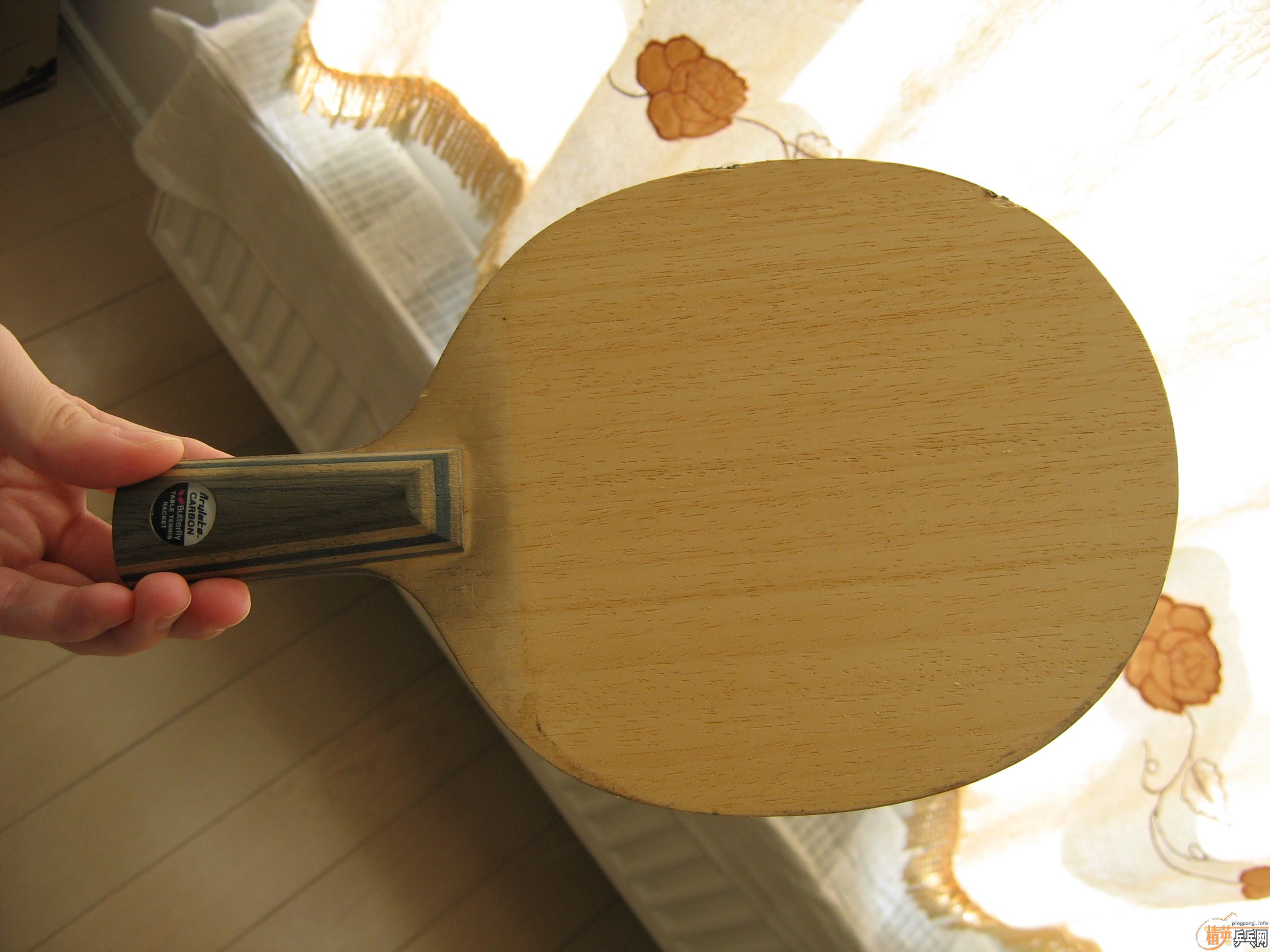 ����������õ��������ӣ�Yasaka�ͺ�����