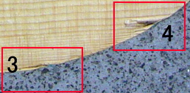 �����������(����)