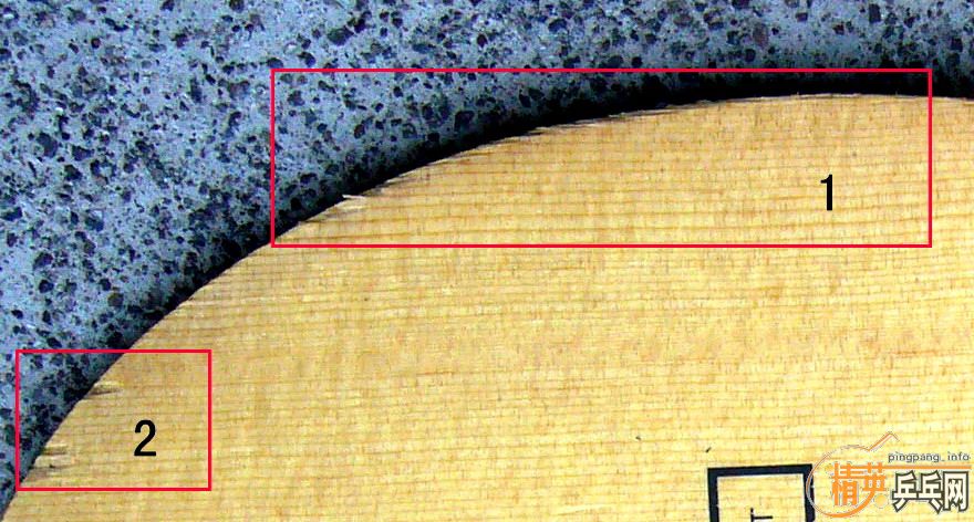 �����������(����)