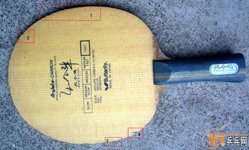 �����������(����)