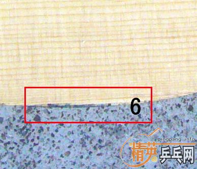 �����������(����)