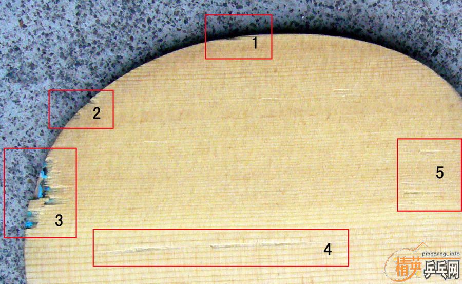 �����������(����)