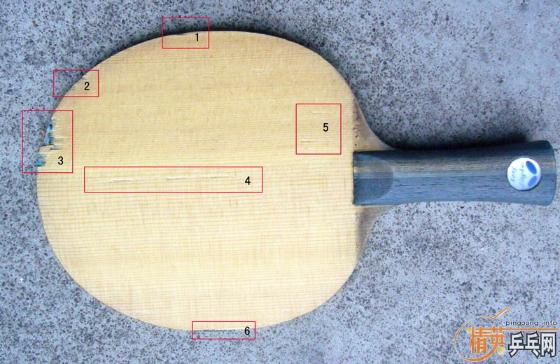 �����������(����)