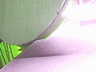 ����Ӧ���л�˹�ٿ�EG�� �����Ҳ�ɽ���������