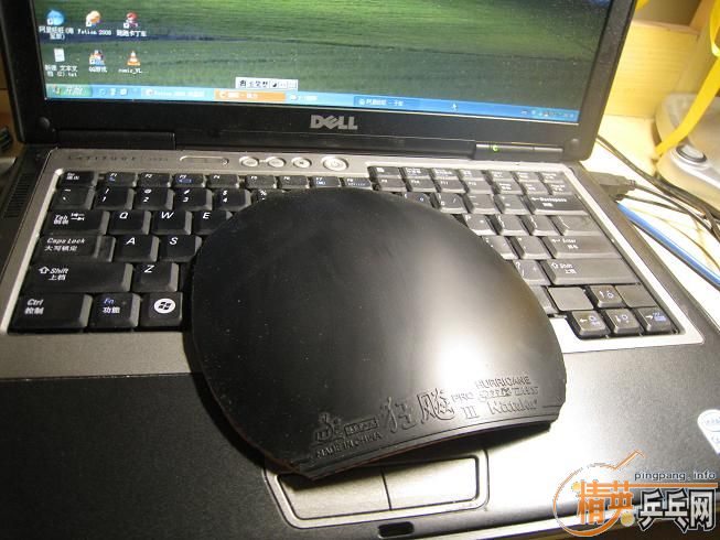 �����ͺ�������FL����450�������3��100������ͣ�100��