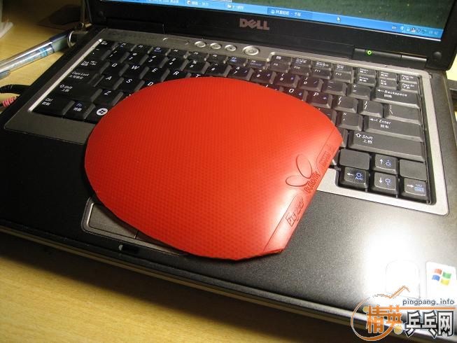 �����ͺ�������FL����450�������3��100������ͣ�100��