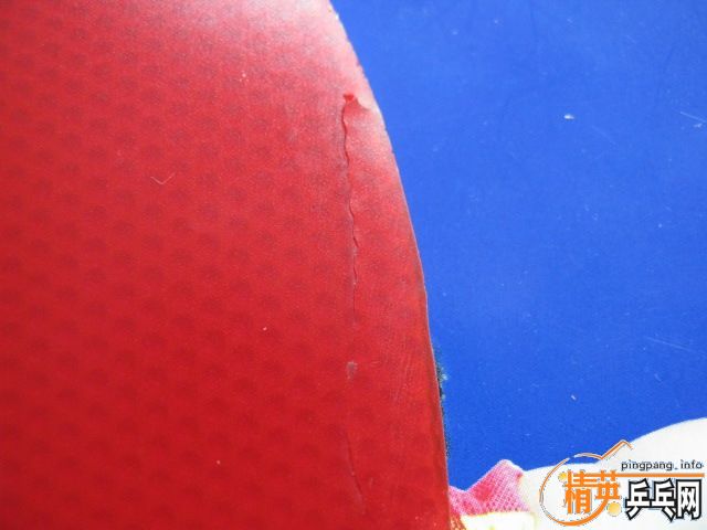 ��֧������������Ѫ��430 ��ɫ9��