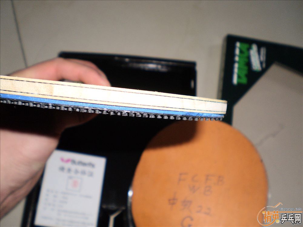 ����ʮ���ӵĺ����Ⲵ��