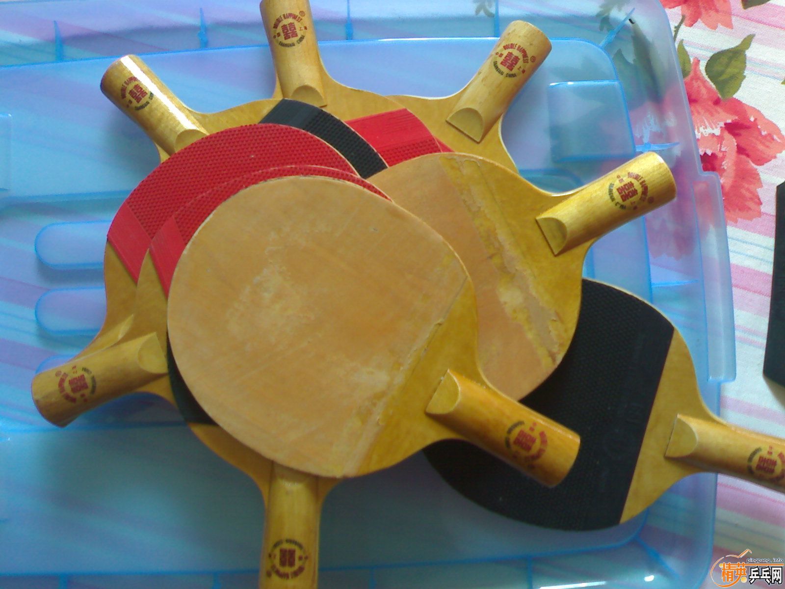 ��   ��   ˹�Ŀ� CL   EG       ��YEO�������� ����K5