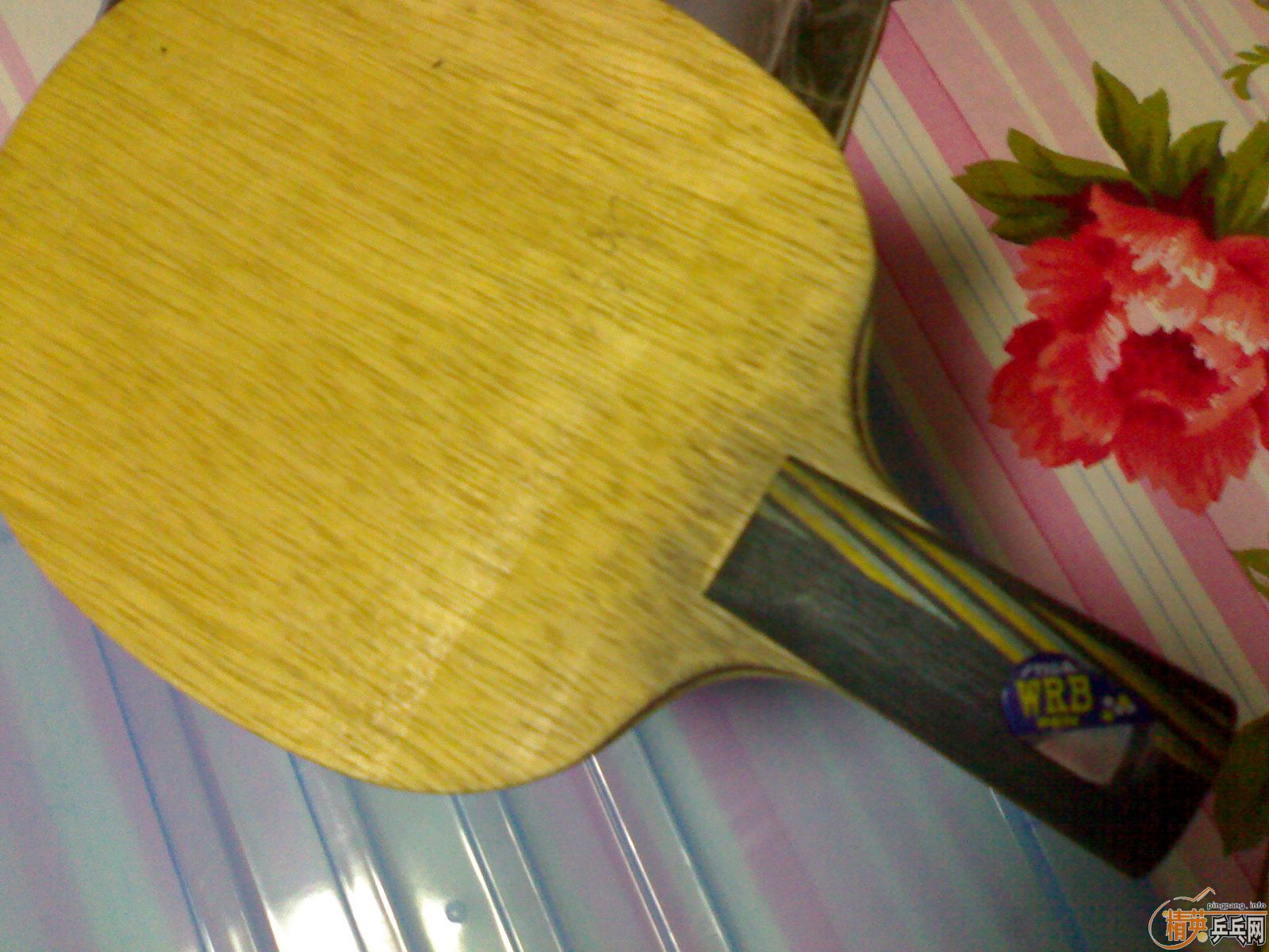 ��   ��   ˹�Ŀ� CL   EG       ��YEO�������� ����K5