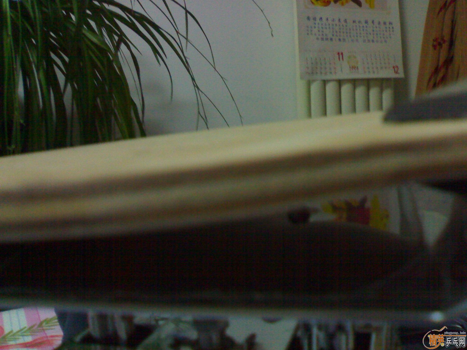 ��   ��   ˹�Ŀ� CL   EG       ��YEO�������� ����K5