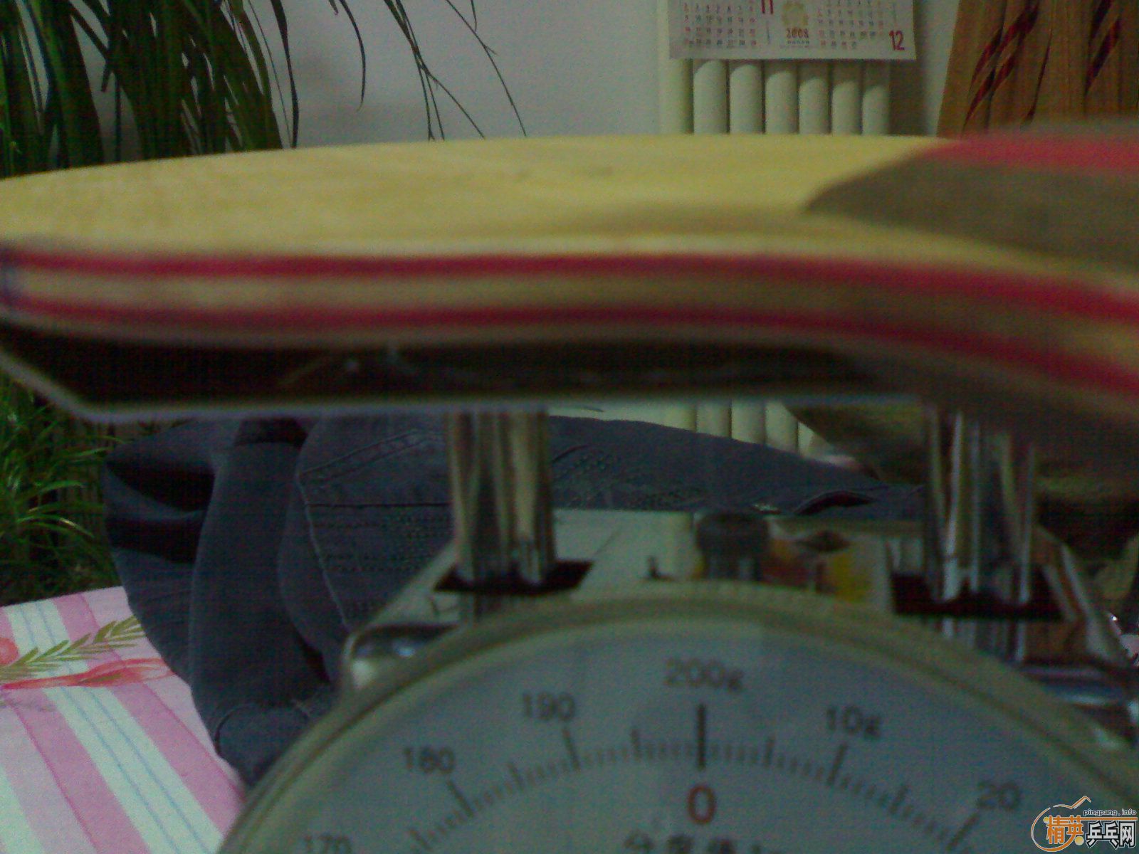 ��   ��   ˹�Ŀ� CL   EG       ��YEO�������� ����K5