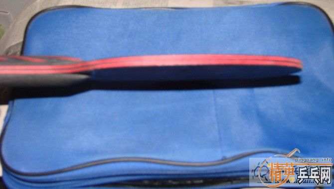 [ԭ��]������̼�� FL ʵ�ı�480����