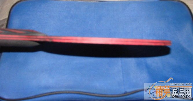 [ԭ��]������̼�� FL ʵ�ı�480����