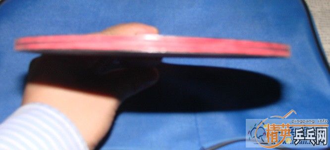 [ԭ��]������̼�� FL ʵ�ı�480����