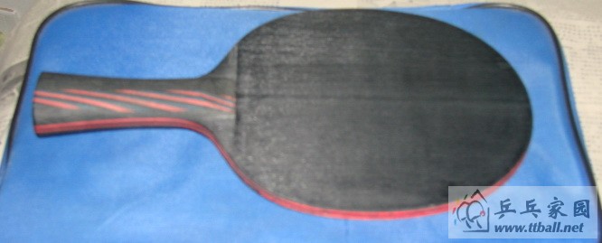 [ԭ��]������̼�� FL ʵ�ı�480����