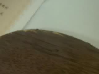 ����һЩ����````��Ҳ��(�ȼ۵ľ���)FL