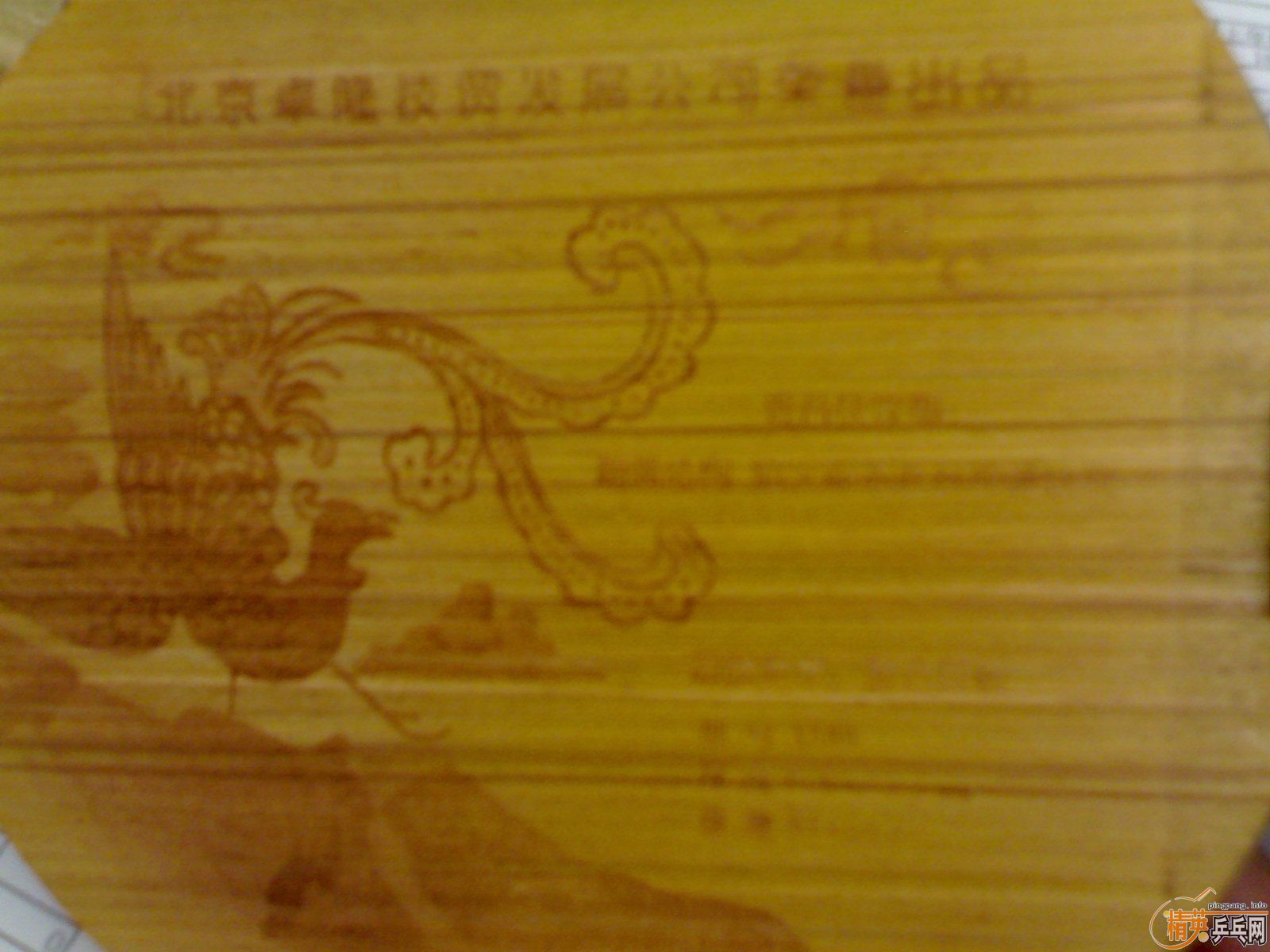 8.5�� ۭ��ͥ ���� X580