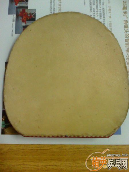 С����NITTAKU NARUCROSS EX 100����