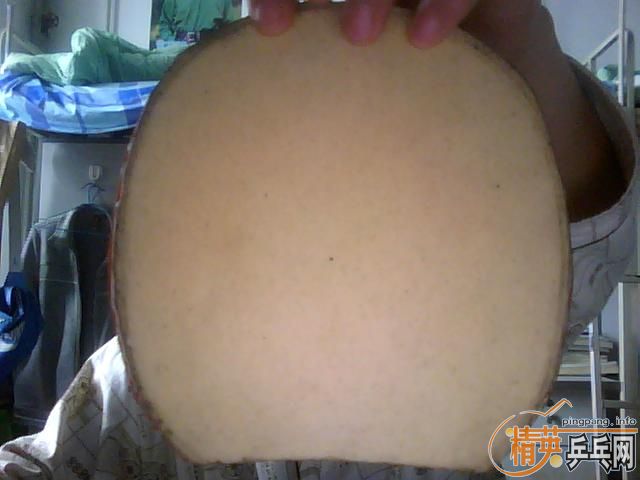 ʹ huang biao лEG FL