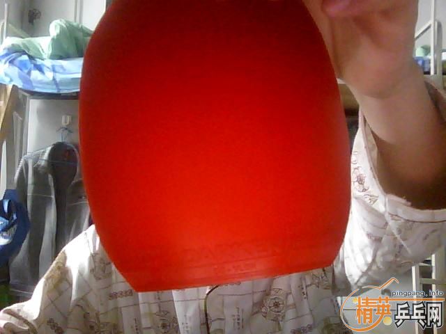 ʹ huang biao лEG FL