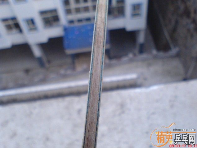 ���º������� ����