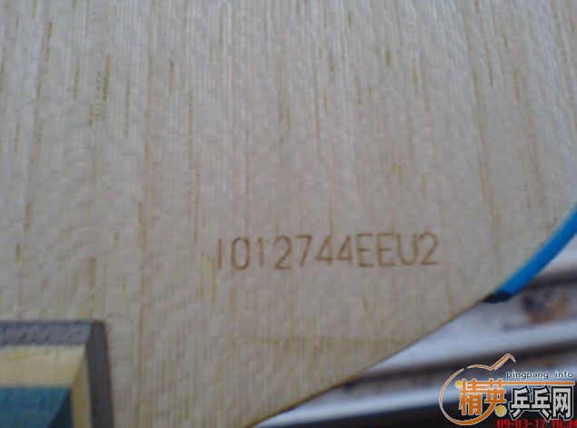 ���º������� ����