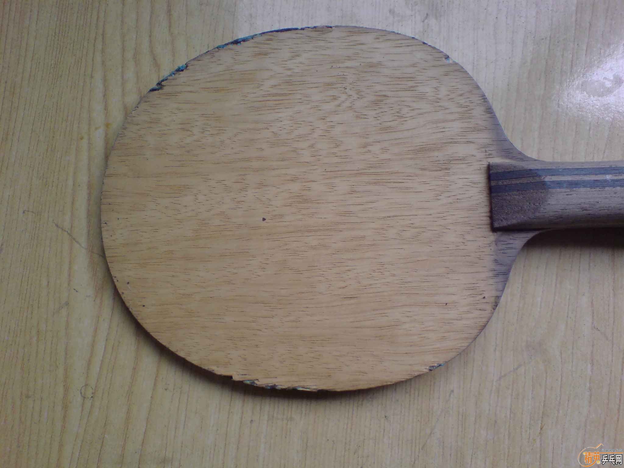 ���������� SK7 MAZE ��ɫ��ʿ������֧������