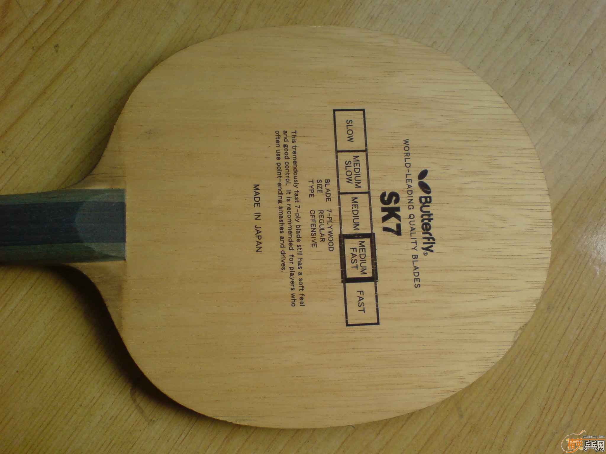 ���������� SK7 MAZE ��ɫ��ʿ������֧������