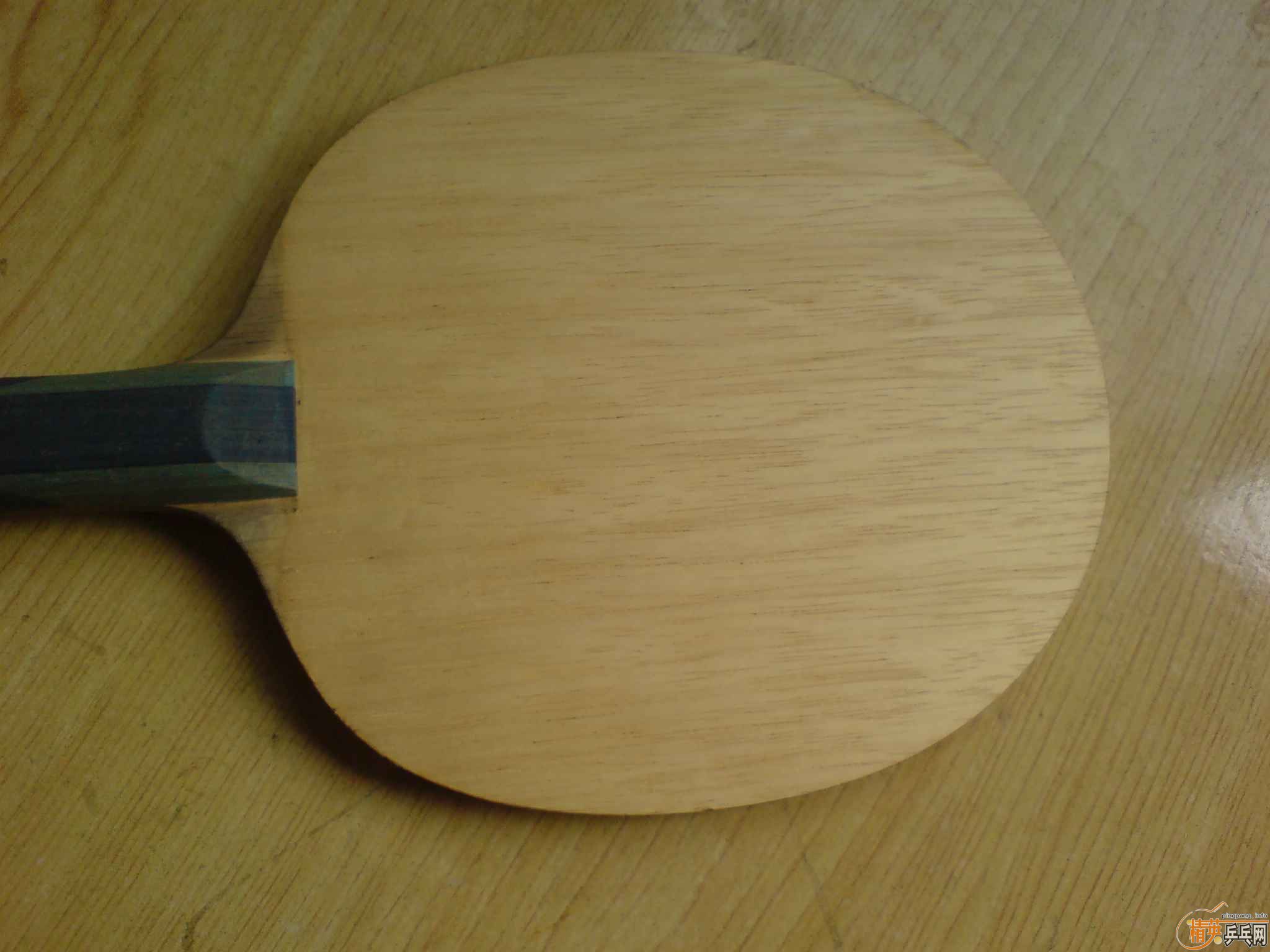 ���������� SK7 MAZE ��ɫ��ʿ������֧������