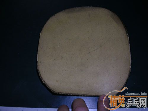 齺Ƥŵ+ͣͻߣ
