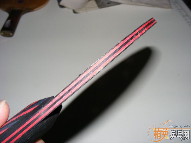 ��˹�ٿ�����̼��9.8     480Ԫ����