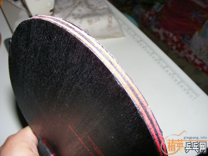 ��˹�ٿ�����̼��9.8     480Ԫ����