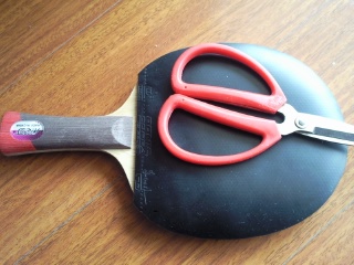 �����Ⲵ�������