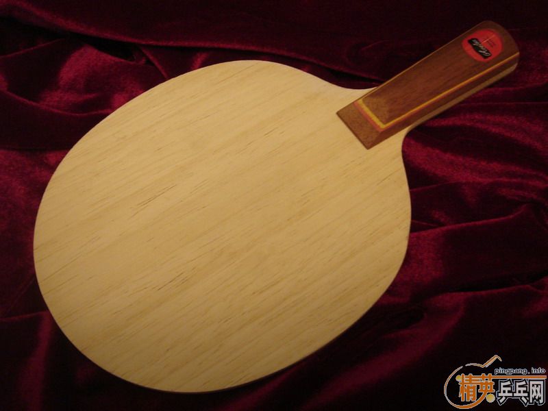 �������ر�P500��CO����