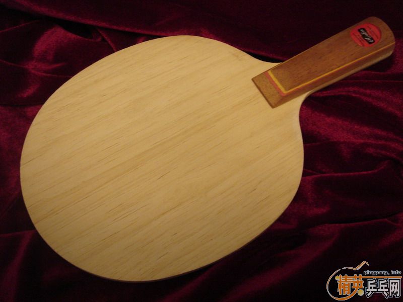 �������ر�P500��CO����