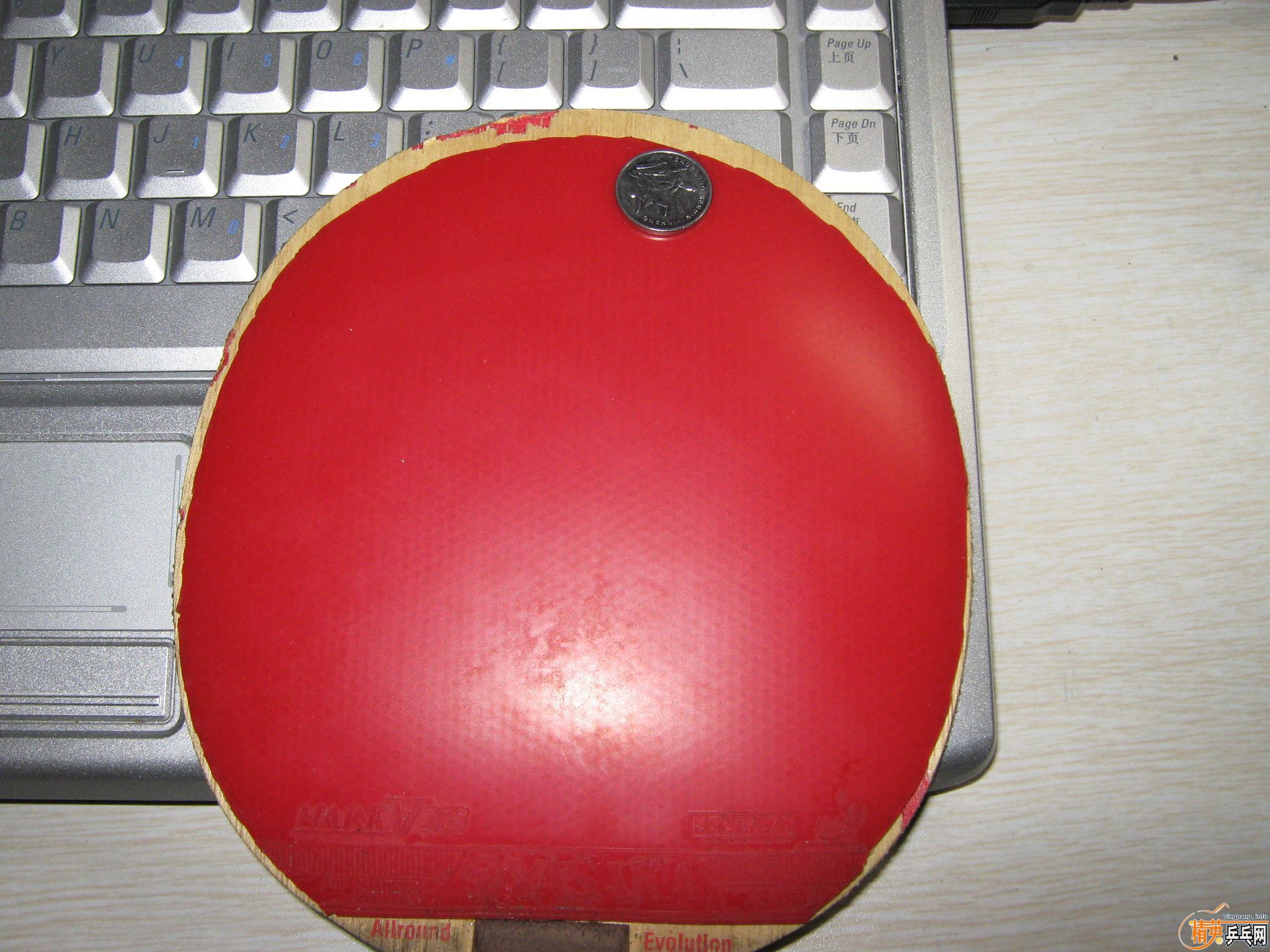 �������3PRO������������Ԥ����/��EG�����yasaka mark-v xs 65����