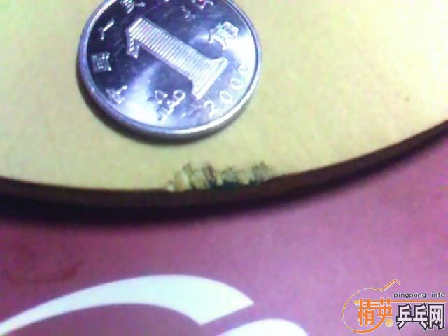 zFL޺գ޿83.9g310ͨݣµ9carbon sec30
